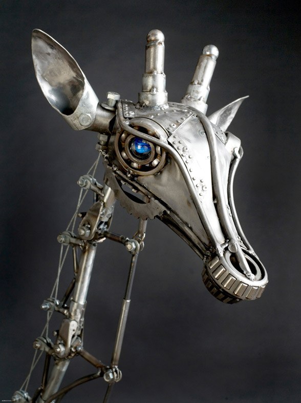 Константин Янчевский | Гродно