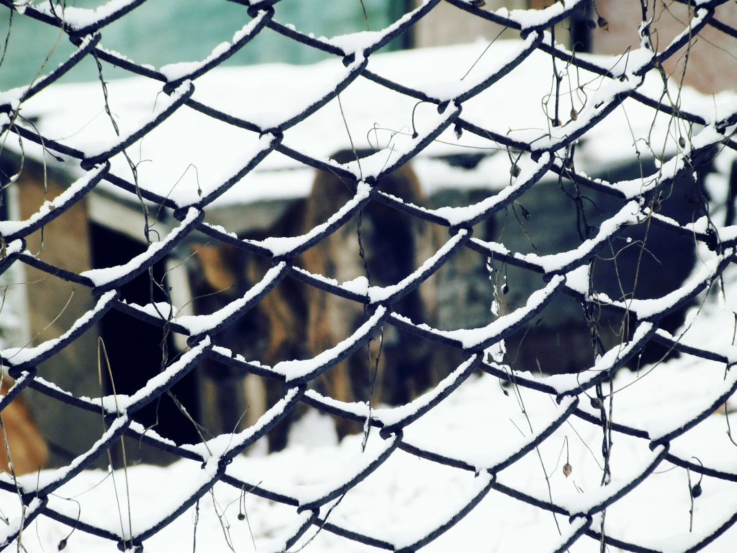 Даниил Глинский | Москва