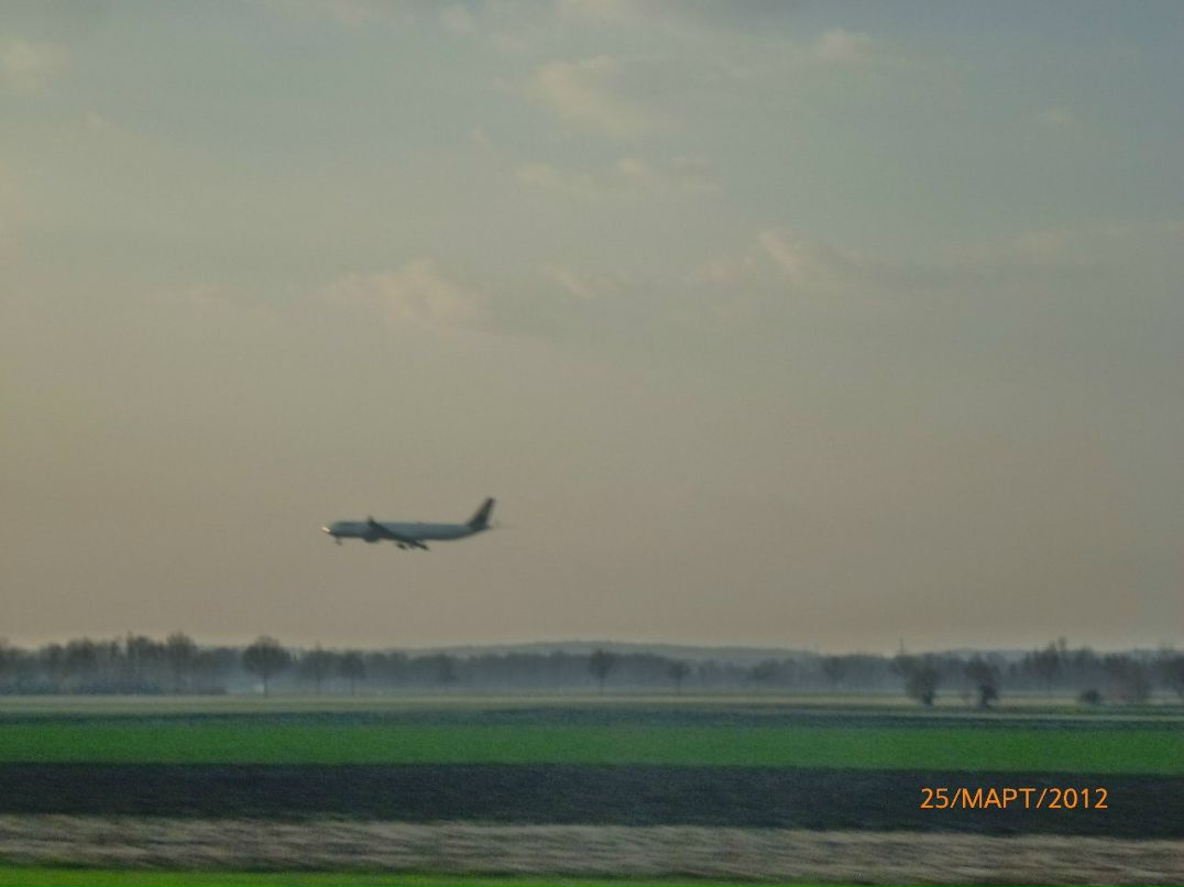 Алла Грекул | Москва