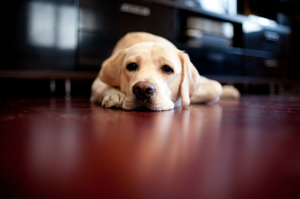 Юлия Какичева | Ярославль