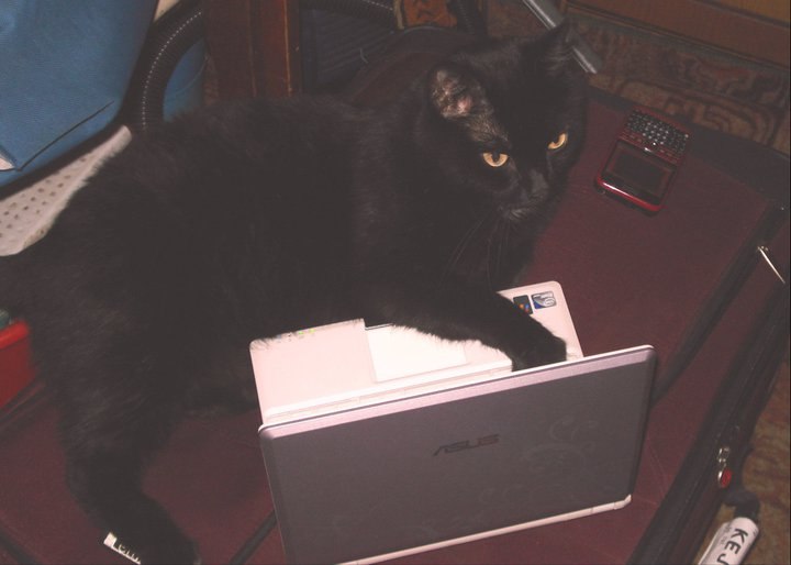 Nadia Mostafa | Кемерово