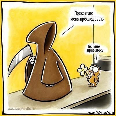 №79, Катюша Рябовол, Черновцы №79, Катюша Рябовол, Черновцы