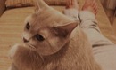 №7 Дарья Кодачигова 05.01: профиль, фото, статус - ВКонтакте №7 Дарья Кодачигова 05.01: профиль, фото, статус - ВКонтакте