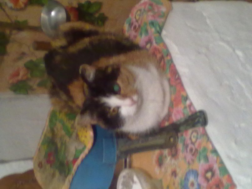 Алексей Нечаев | 