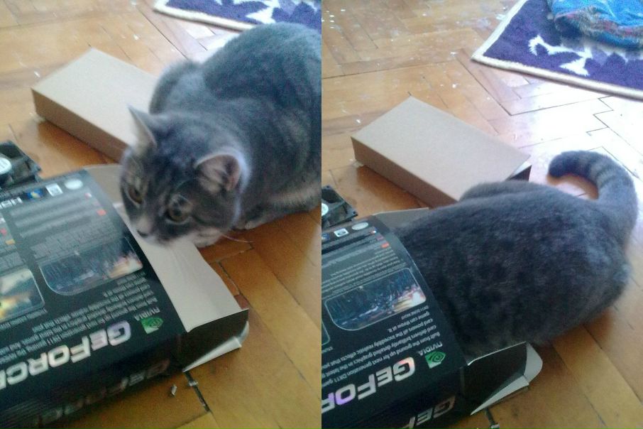 №18, Дмитрий Секерж-Зенькович, Москва №18, Дмитрий Секерж-Зенькович, Москва