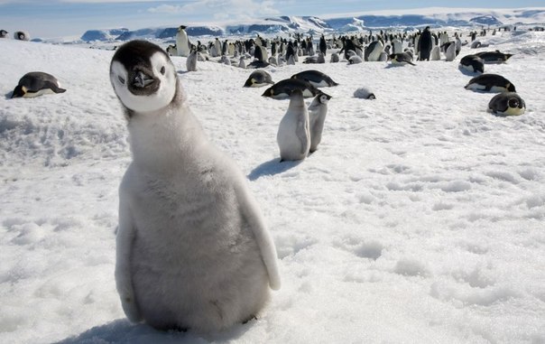 Марина Семёнова | Хабаровск
