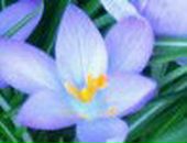 Оксана Андреева | Москва