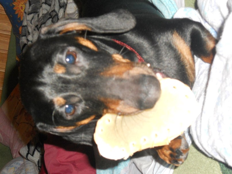 Софья Романовская | Санкт-Петербург