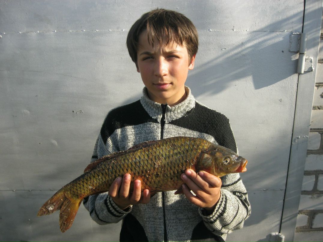 Дима Афонин | Волгоград