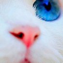 №45, Саша Батухтина, Петрозаводск №45, Саша Батухтина, Петрозаводск