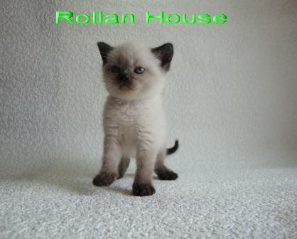 №76, Юлия Митяева, Ростов-на-Дону №76, Юлия Митяева, Ростов-на-Дону