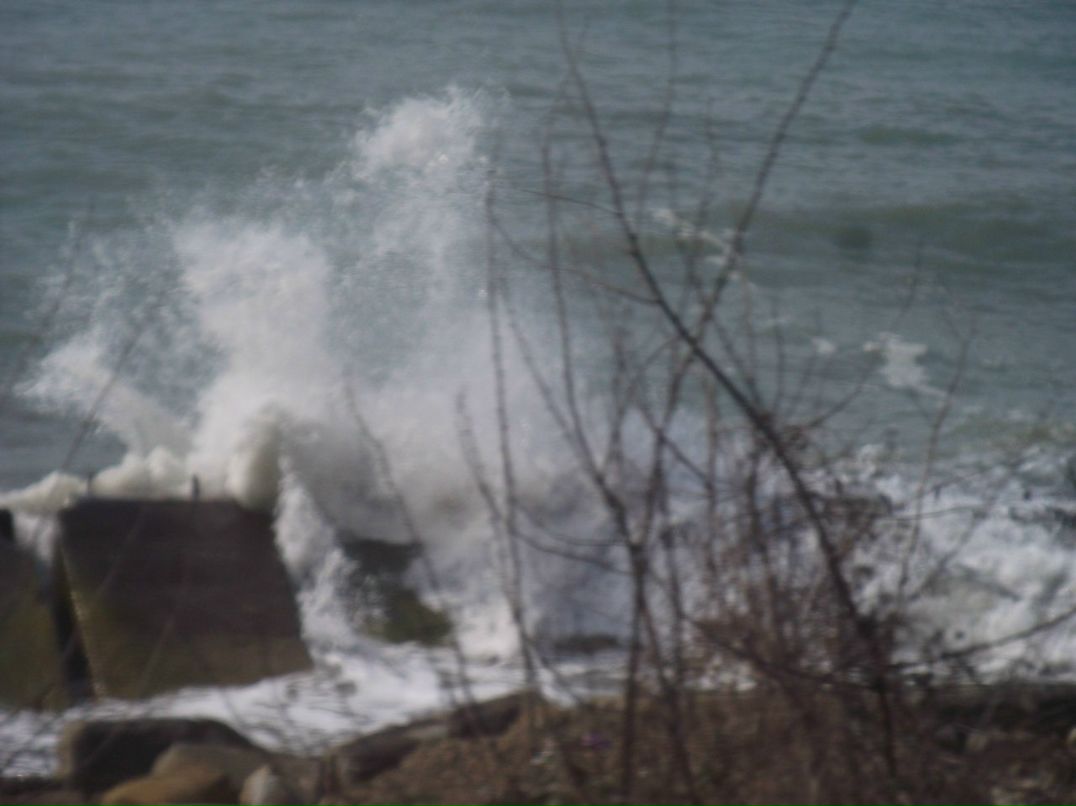 Денис Васильев CHARLZ | Санкт-Петербург