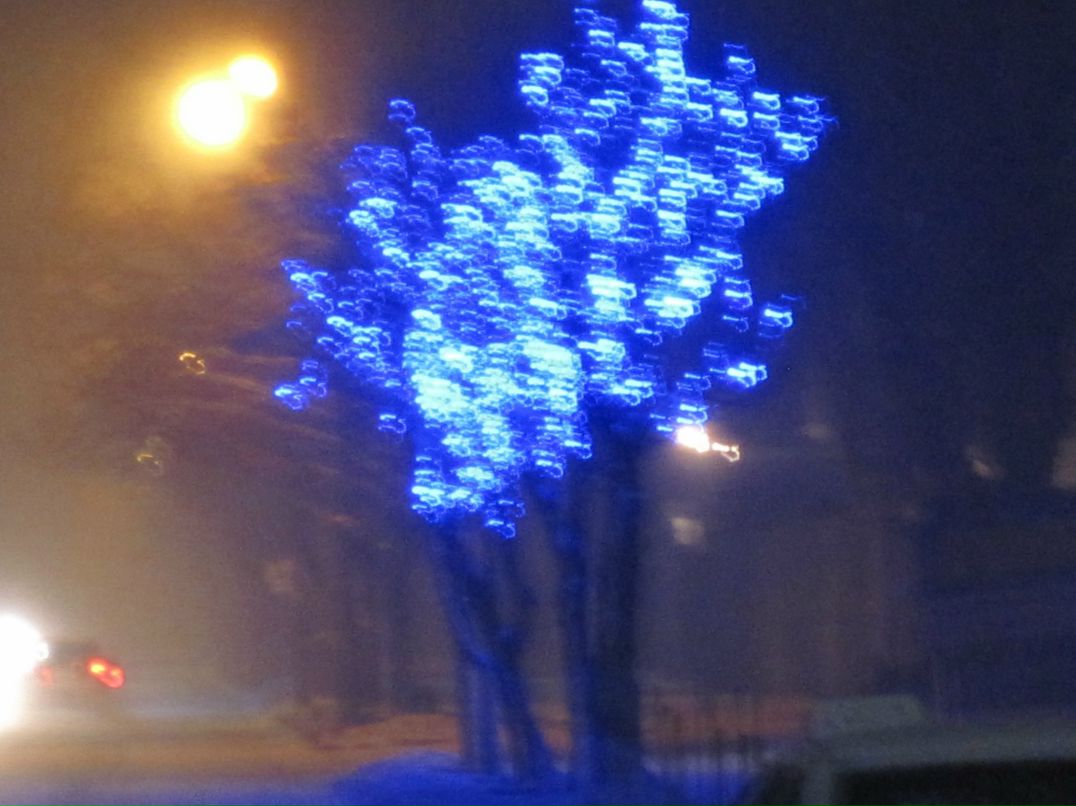 Ксения Жицкая | 