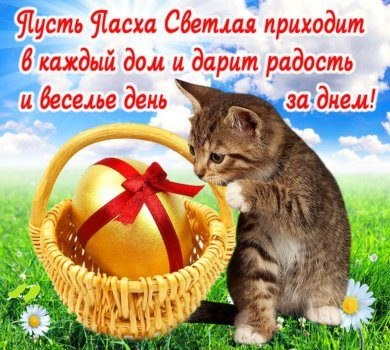 Олег Петрович | Донецк