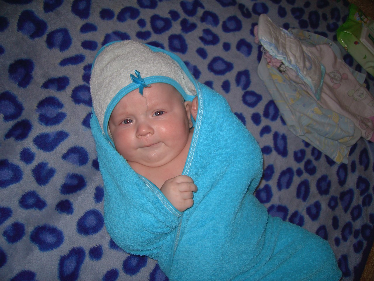 Светлана Лобанова