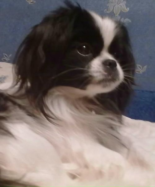 №3, Марина Комлева №3, Марина Комлева