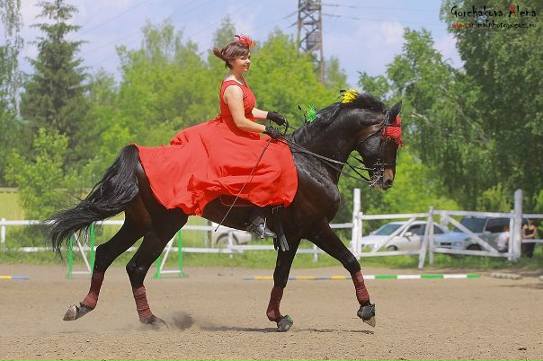 №2, Елена Токарева №2, Елена Токарева