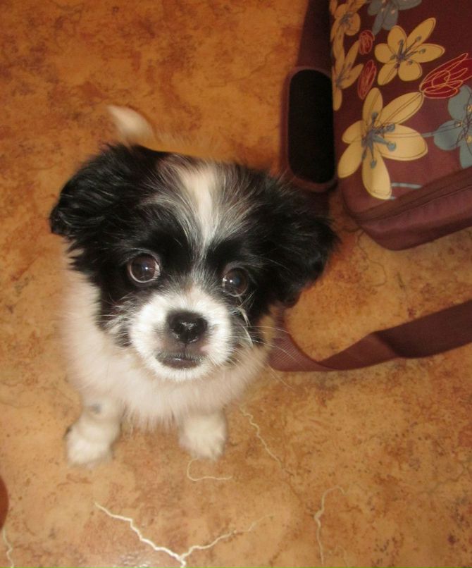 Юленька Едживадзе | Красноярск