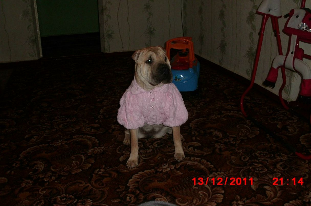 Вован Грищенко | Херсон