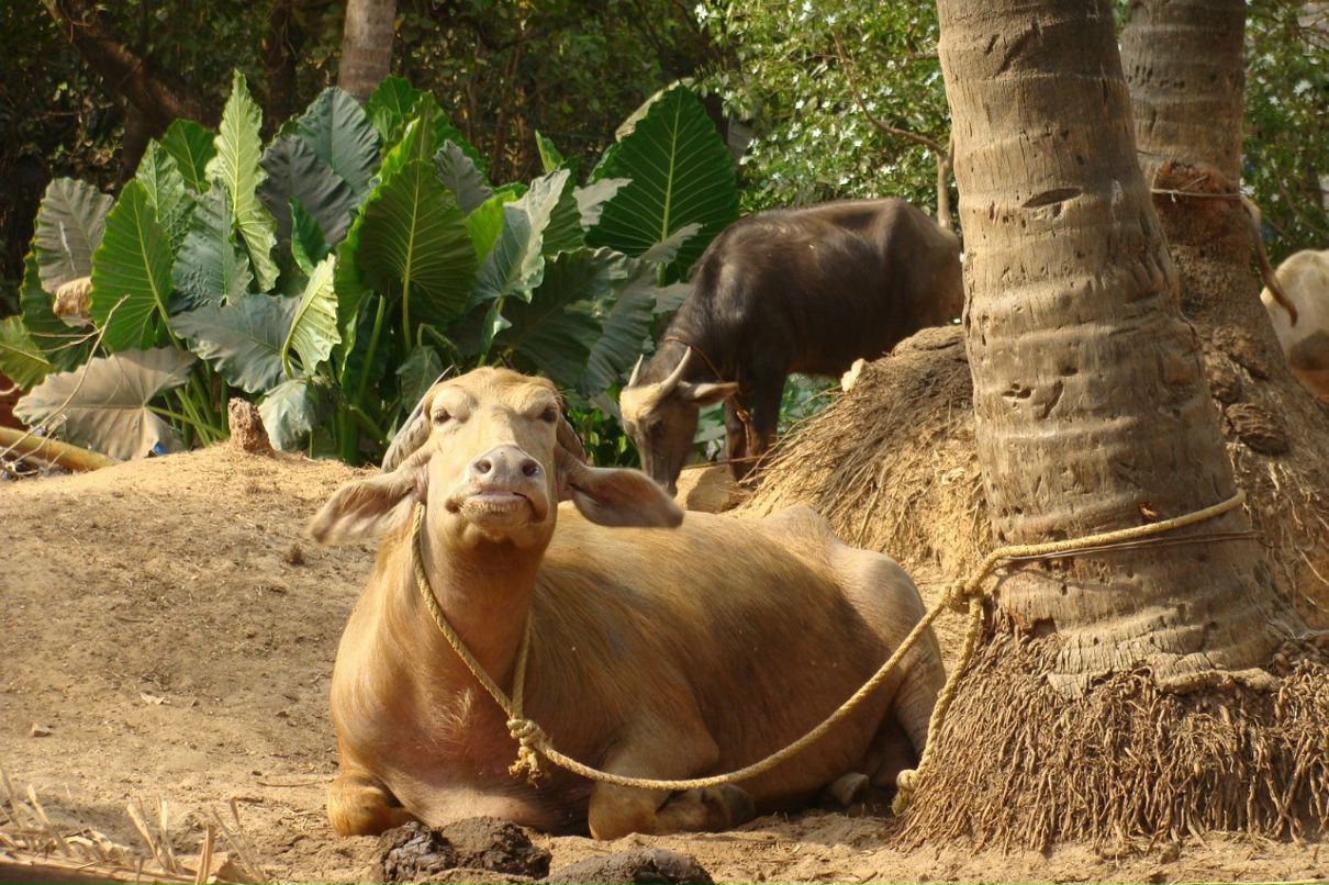 Татьяна Полякова | Рязань