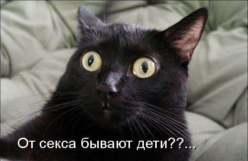 Татьяна Васильева | Челябинск