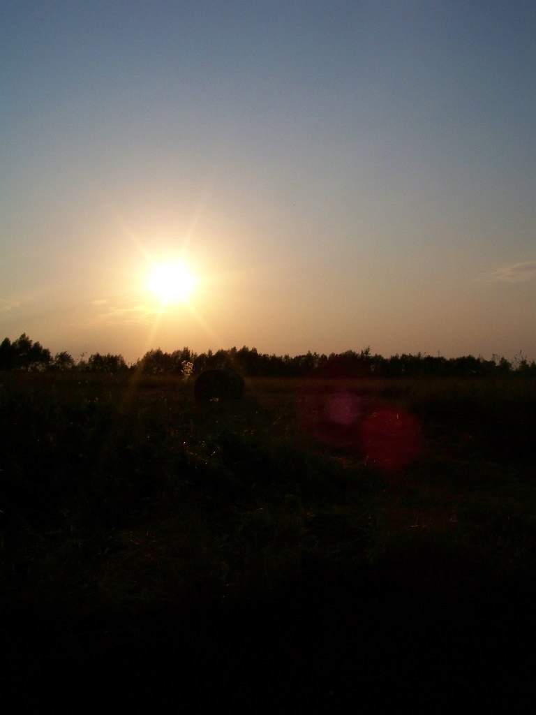 Дмитрий Цветков | Орёл