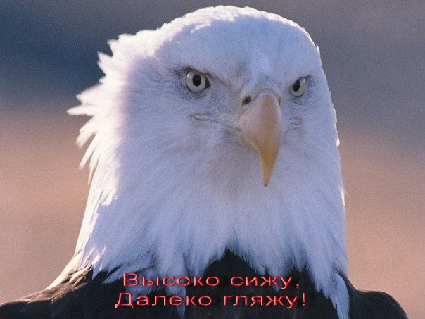 Равиль Шафиуллин | Долгопрудный