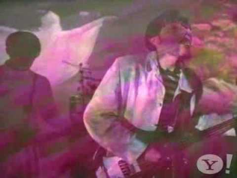 The Rosemarys