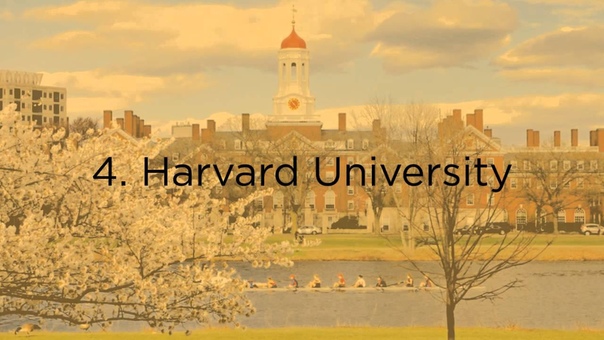 QS World University Rankings 2014, 2015 The Top 10