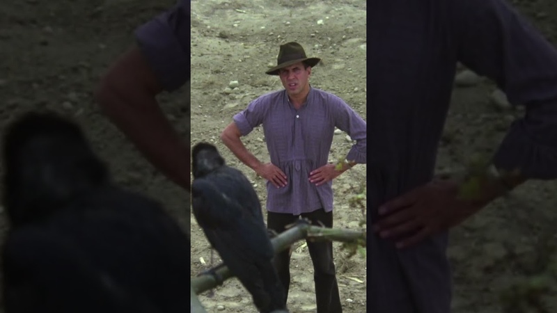 Der gezähmte Widerspenstige Raben Adriano Celentano, Ornella Muti, ,comedy, Kindheit,
