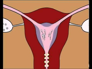 Comment faire un enfant et tomber enceinte rapidement ?