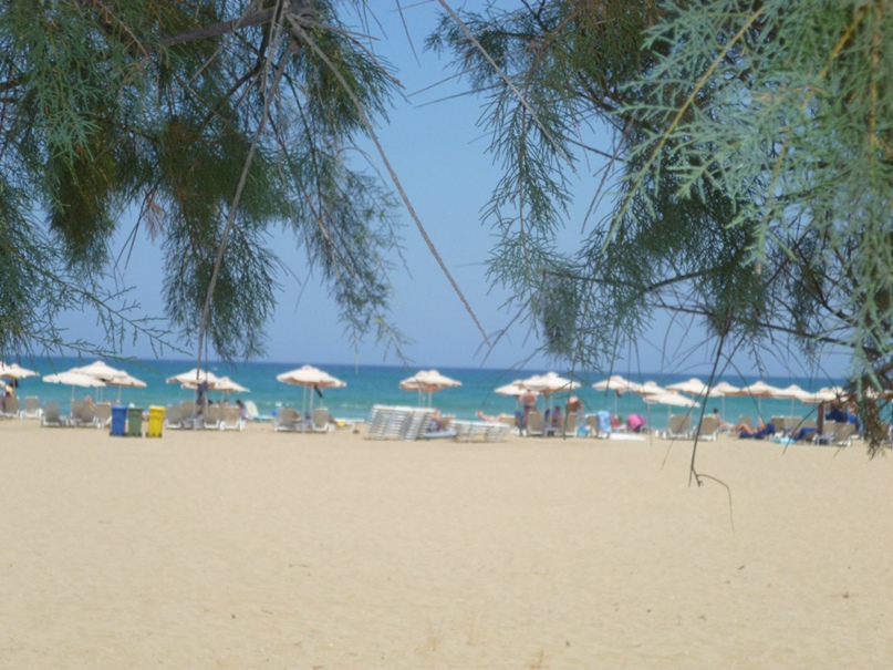 Алина Львова | Казань