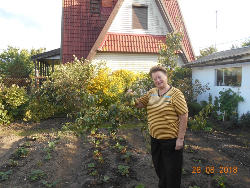 Елена Ткач | Зеленоградск