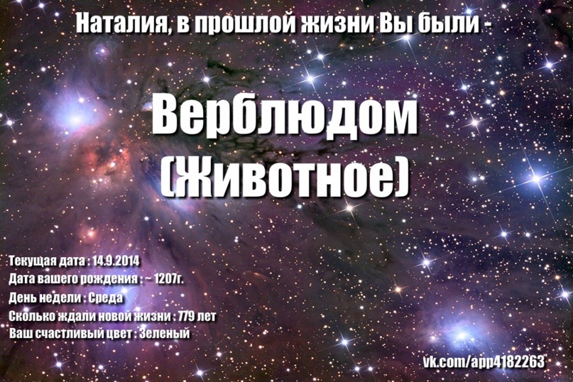 Наталия Орлова | Киев
