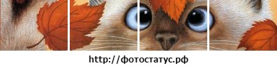 Галина Кошевая | Иваново