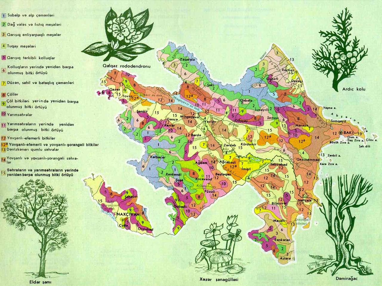 флора азербайджана