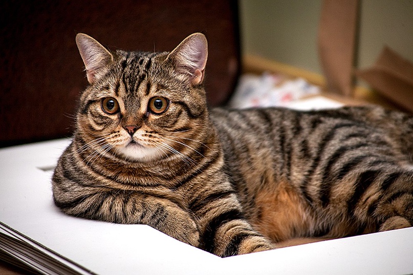 Ильнур Исхаков |