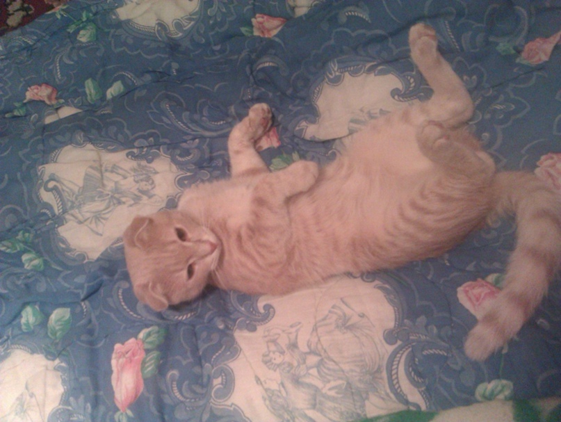 Татьяна Зуйкова |