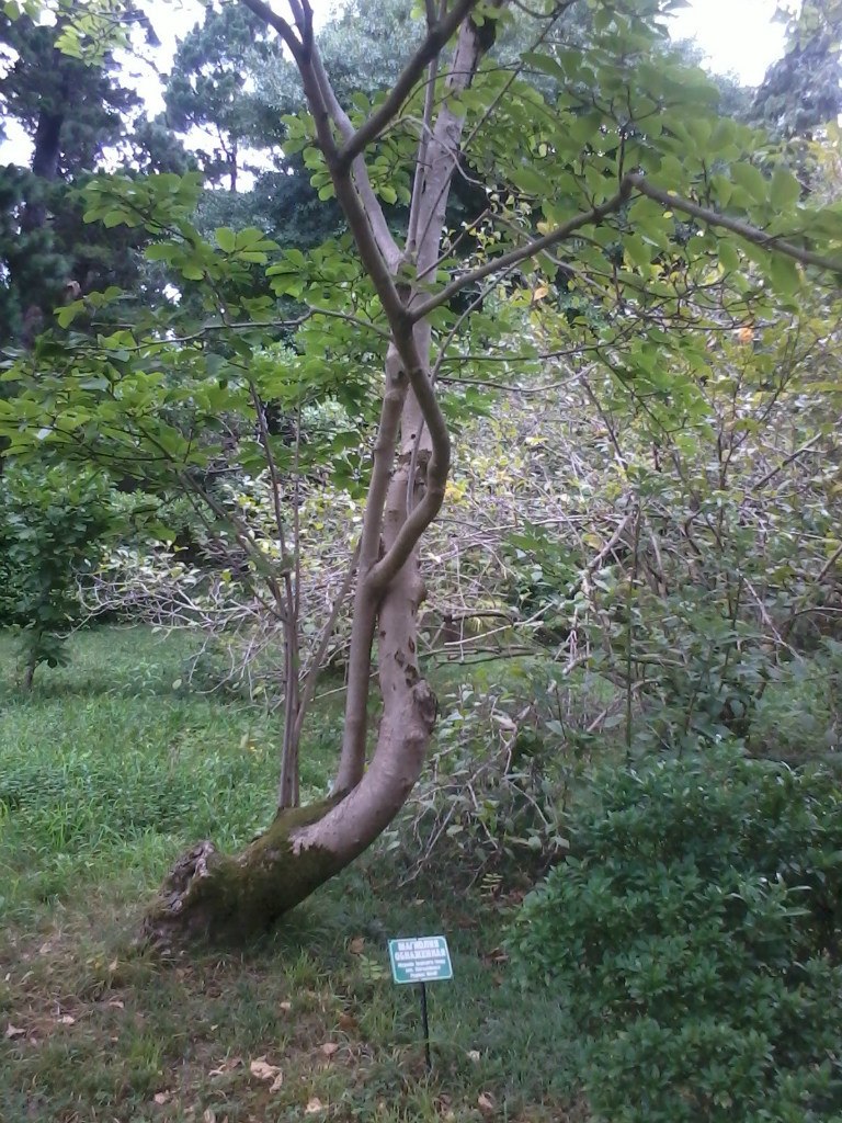 Елена Игнатова игнатова | Гомель