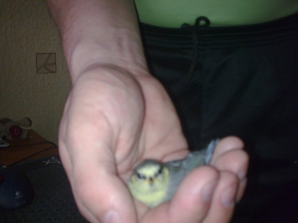 Денис Пылаев | Санкт-Петербург