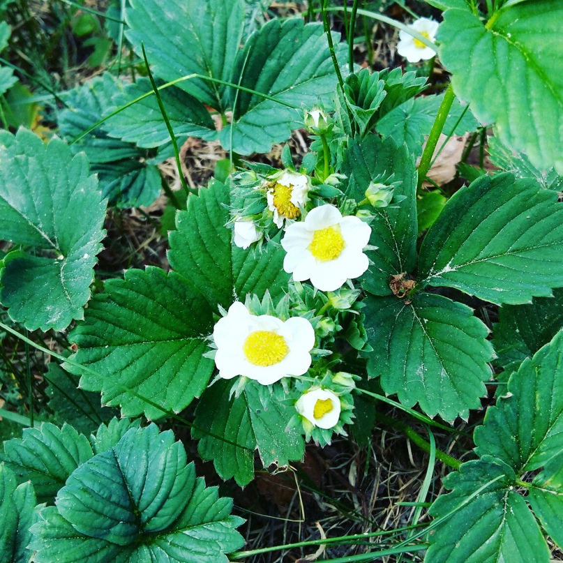 Наталья Тихомирова | Пермь