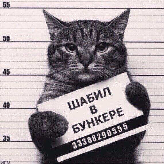 Вадим Борисов | Серпухов