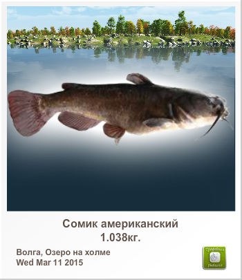 Илья Веригин |