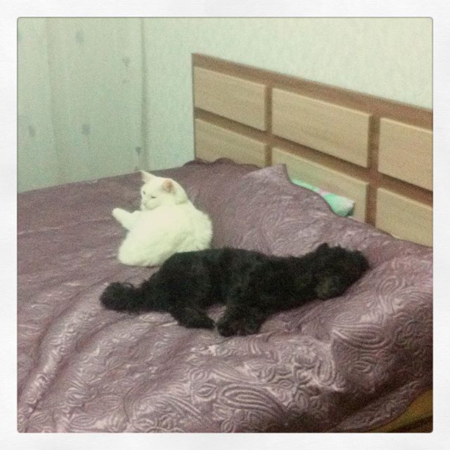 Виктория Васильева | Тольятти