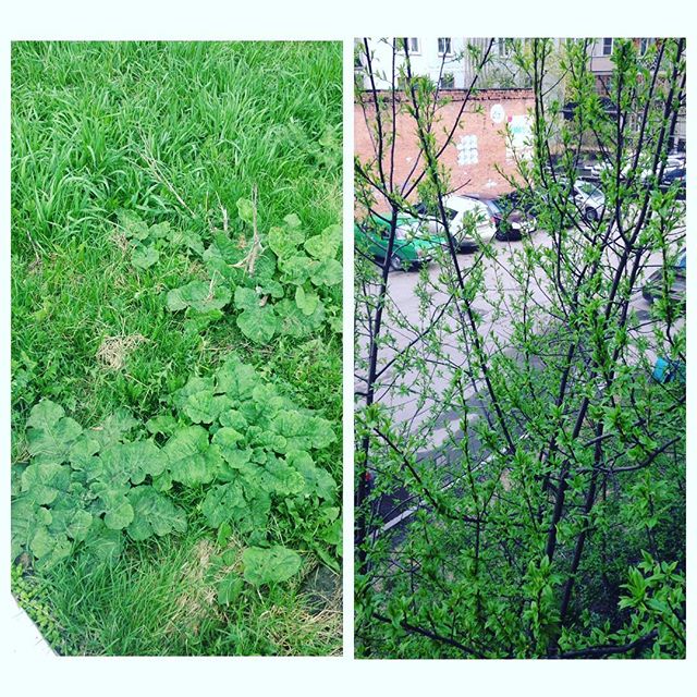 Мария Косицина | Новокузнецк