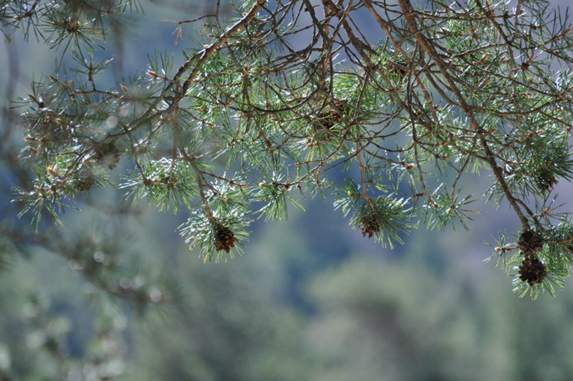 Ирина Островерхова | Астрахань