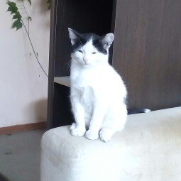 Мария Ярушина | Суксун