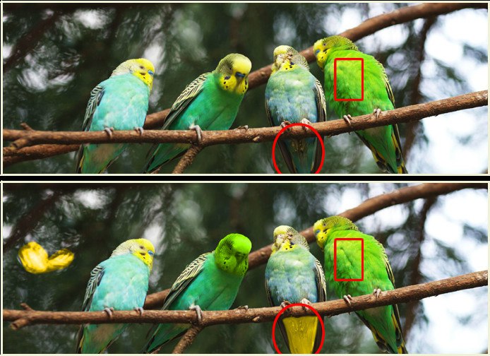 Андрей Воробьев | Чкалово