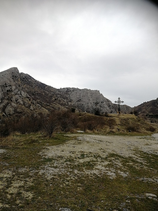 Елена Зеленская | Краснодар