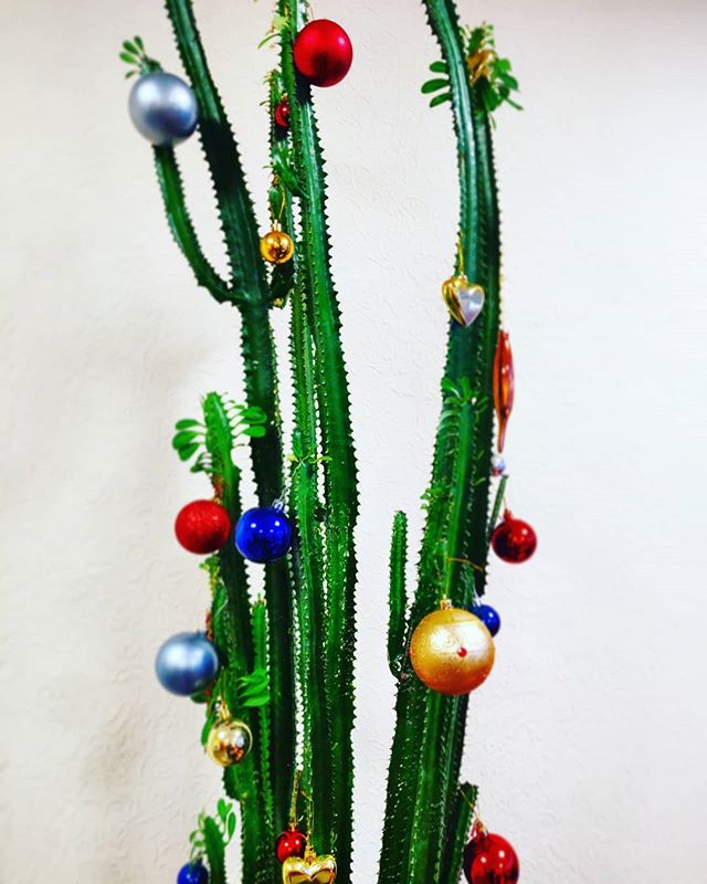 Михаил Зацепин | Санкт-Петербург